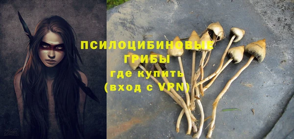спиды Магадан